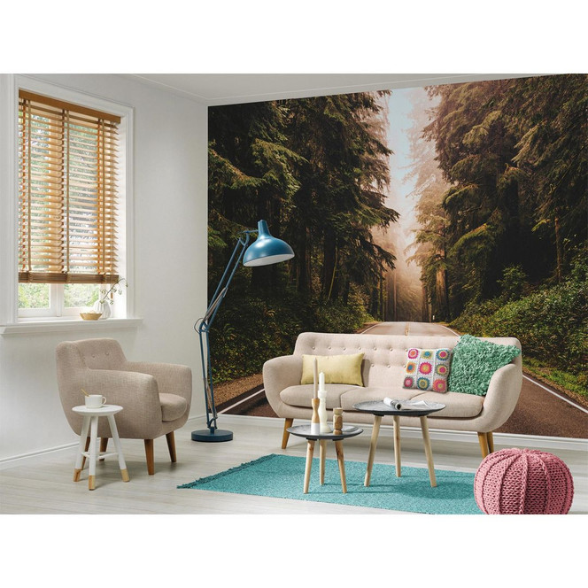 Livingwalls Fototapete Designwalls Road Trip Wald - Bild 1