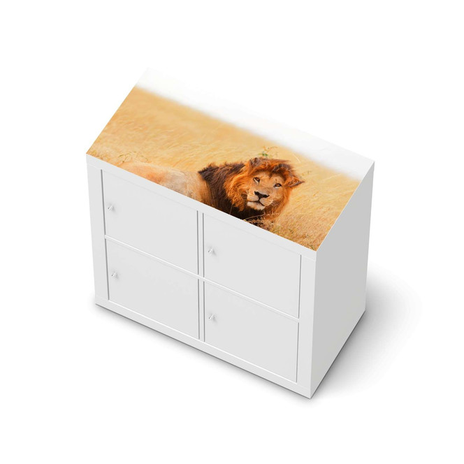 Möbelfolie IKEA Expedit Regal oben - Lion King- Bild 1