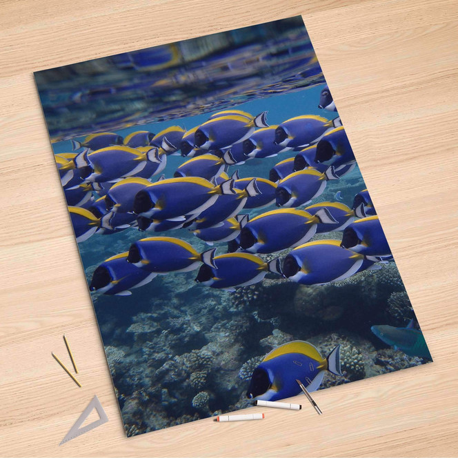 Folienbogen (100x150cm) - Fish swarm- Bild 1