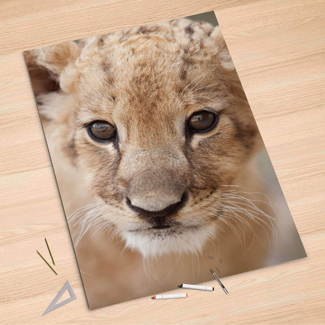 Folienbogen (100x150cm) - Simba- Bild 1