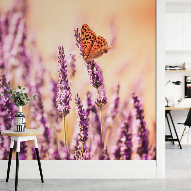 Fototapete Colombo - Der Schmetterling im Lavendel - 384x260cm - Bild 1