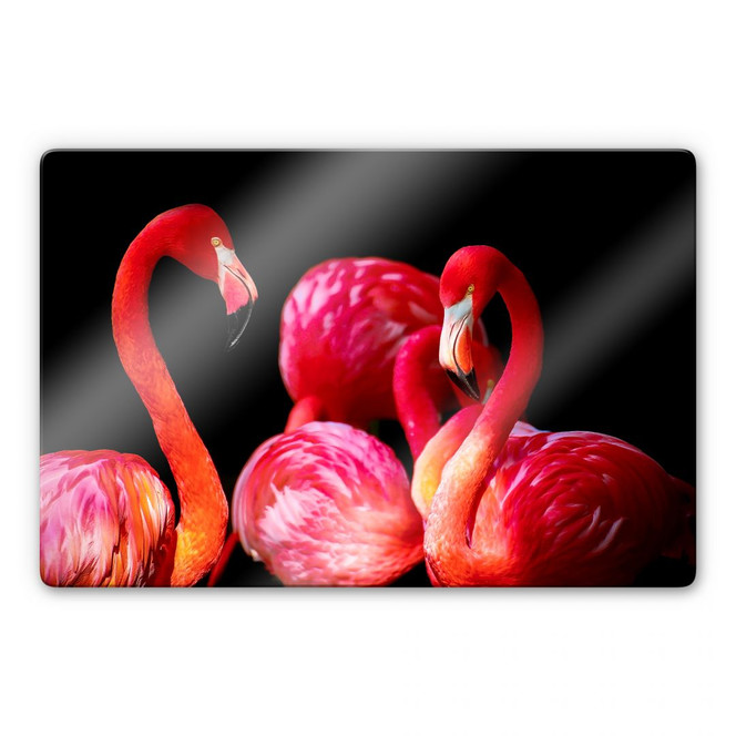 Glasbild Pink Flamingo