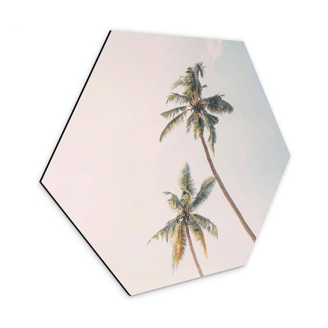 Hexagon - Alu-Dibond Sisi & Seb - Palmen im Wind