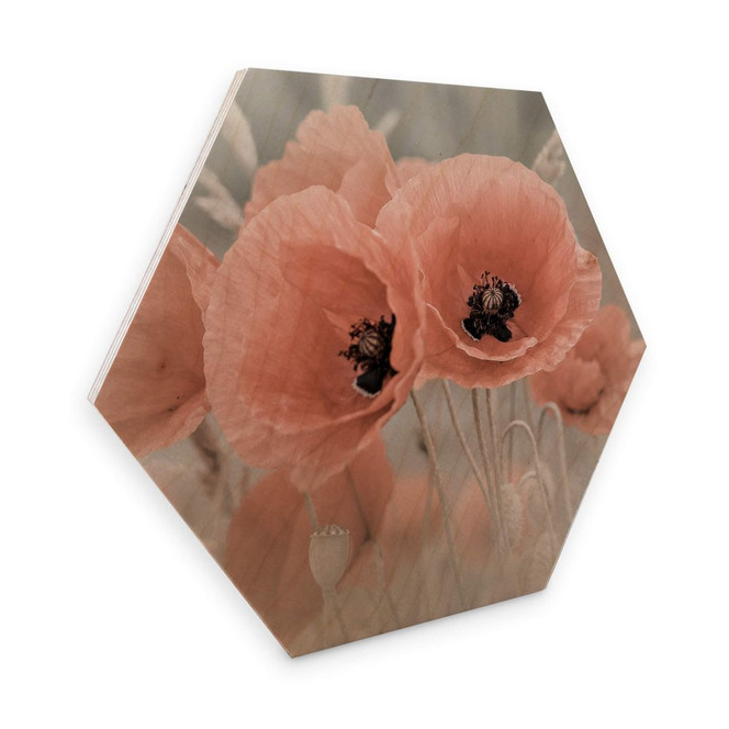 Hexagon - Holz Birke-Furnier Delgado - Mohn in Pastell