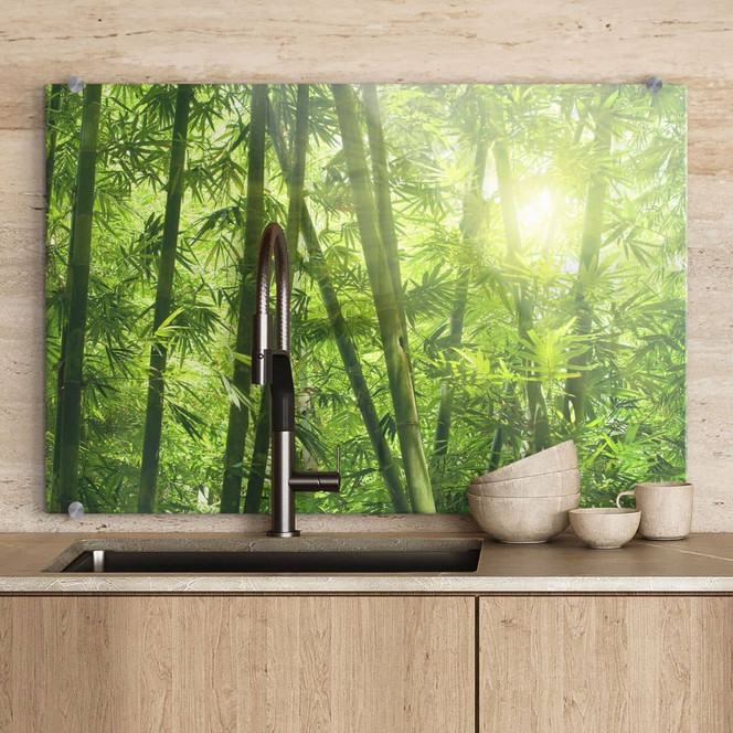 Spritzschutz Sonnenschein im Bambuswald