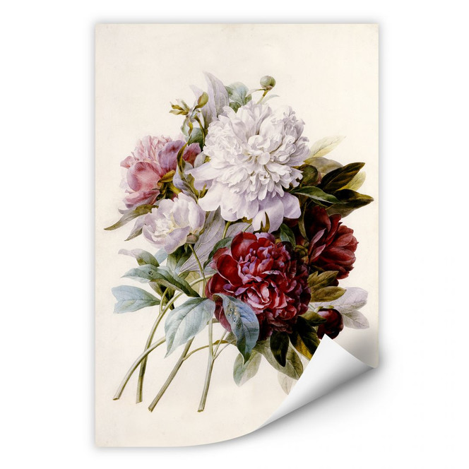 Wallprint Redouté - Strauss von roten, lila und weissen Pfingstrosen