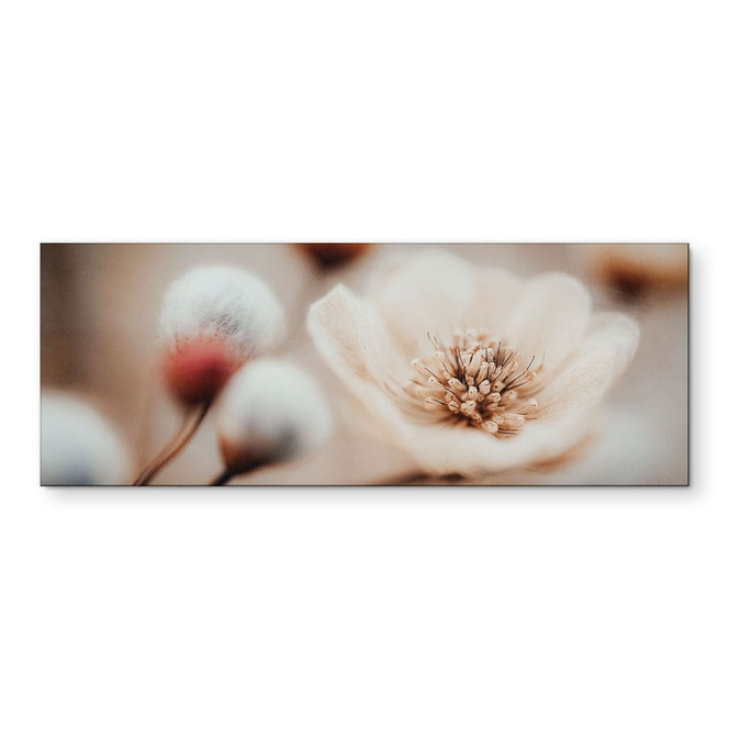 Wandbild Boho Blüte Soft Beige - Treechild - Alu-Dibond Panorama