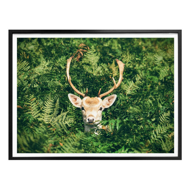 Poster Versteckspiel im Wald