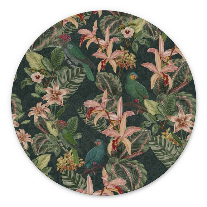 Wandbild Dschungel mit Papageien Nachtgrün - Bloomery Decor - Alu-Dibond Rund