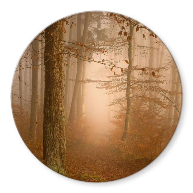 Glasbild Dunst und Licht im herbstlichen Wald - Maier - Rund