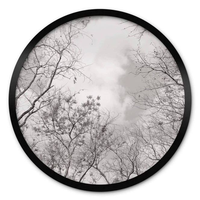 Poster Baumkronen im Himmel - Rund