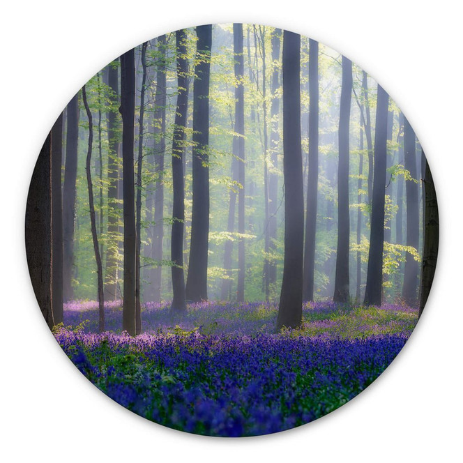 Alu-Dibond Popan - Glockenblumen - Rund