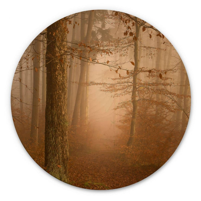 Holzbild Dunst und Licht im herbstlichen Wald - Maier - Rund