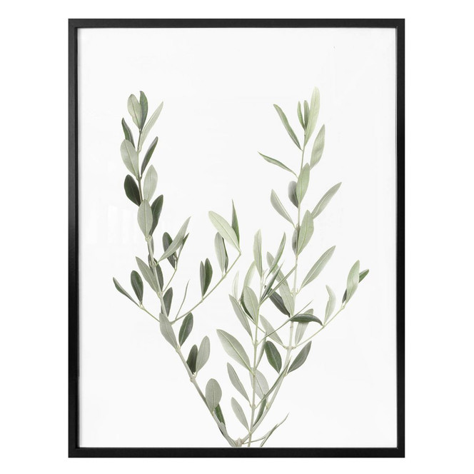 Poster Sisi & Seb - Olivenzweig