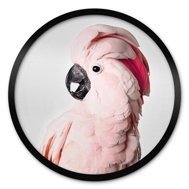 Poster Sisi & Seb - Rosa Kakadu - Rund