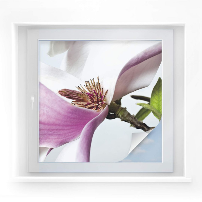 Sichtschutzfolie Magnolie - quadratisch