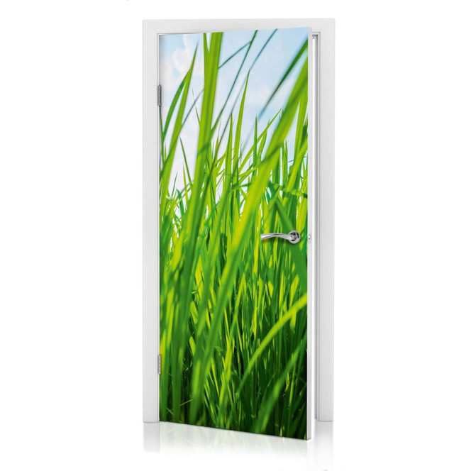 Türdesign Grüne Wiese