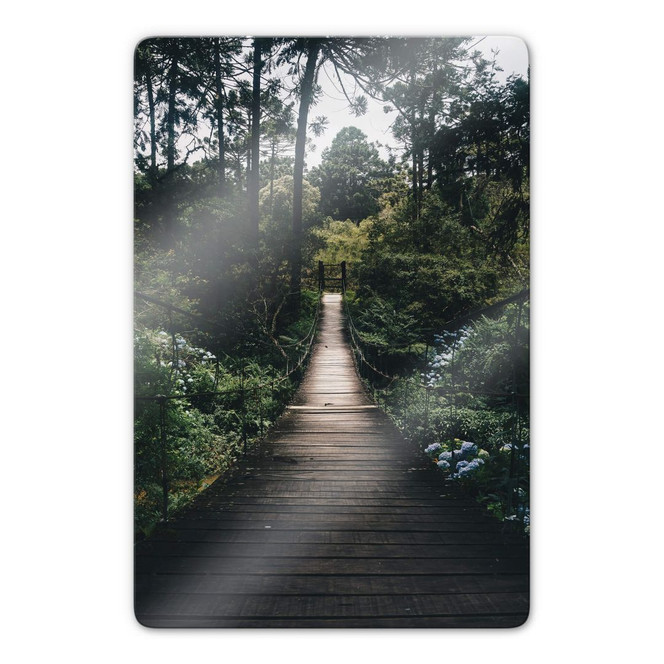 Glasbild Waldweg