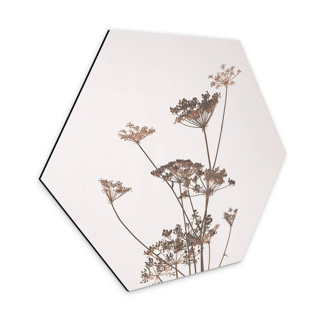 Hexagon - Alu-Dibond Wilde Gräser
