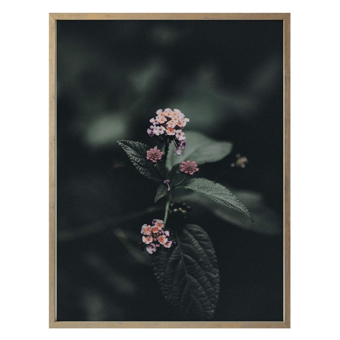 Poster Zarte rosa Blüte