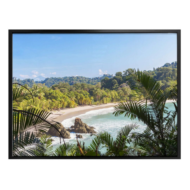 Poster Colombo - Dschungelblick in Costa Rica