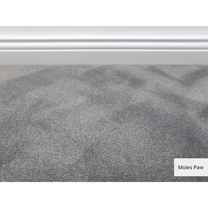 Cannes Softflor Teppichboden Meterware in Moles Paw