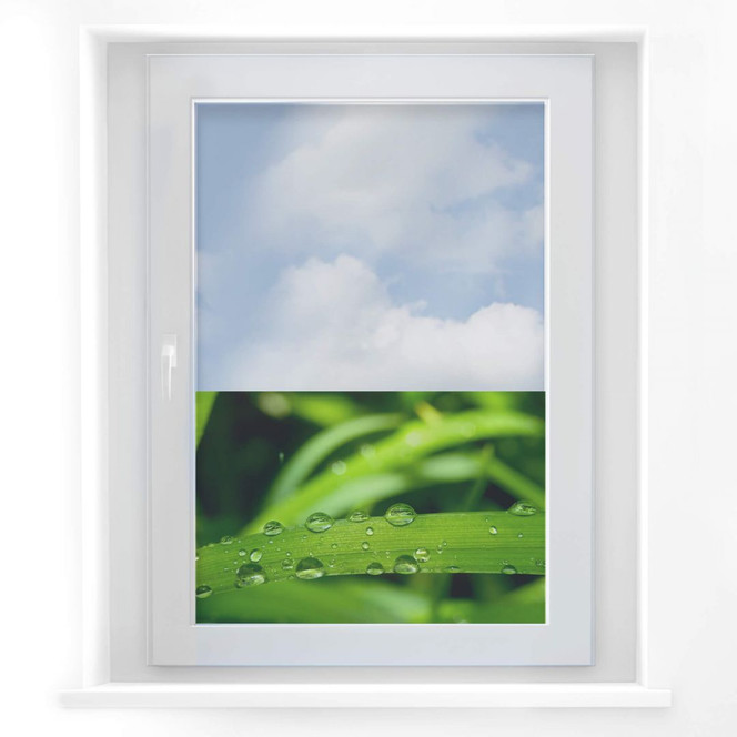 Fensterbild Natur 5