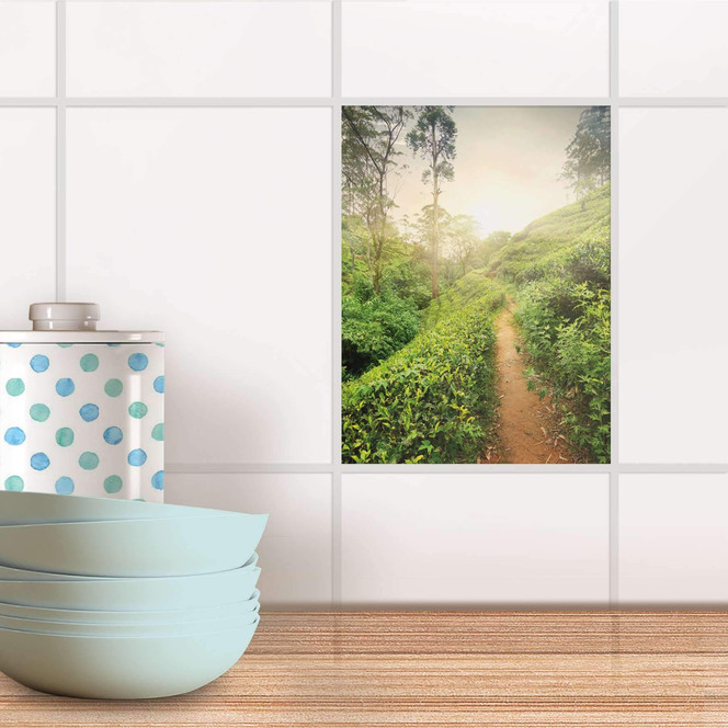 Fliesensticker - Green Tea Fields