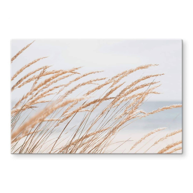 Glasbild Dünengras