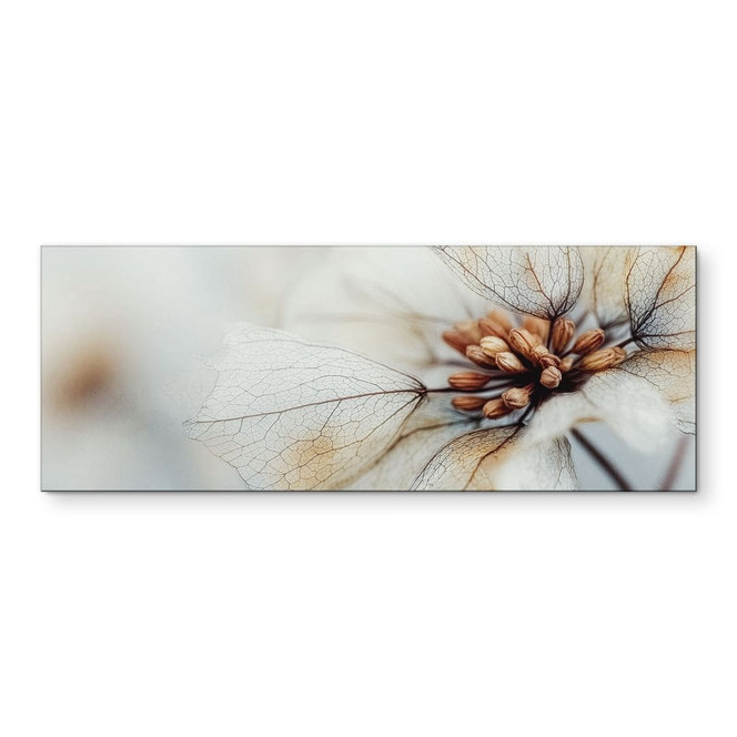 Wandbild Blütenstruktur einer Trockenblume - Treechild - Alu-Dibond Panorama