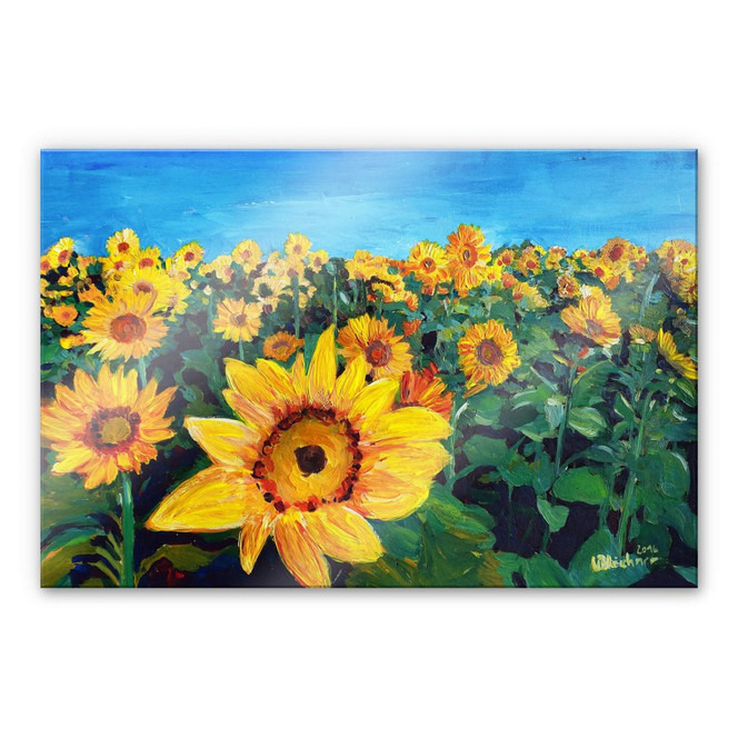 Acrylglasbild Bleichner - Sunflower Fields