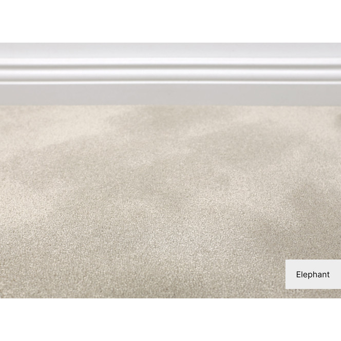 Cannes Softflor Teppichboden Meterware in Elephant