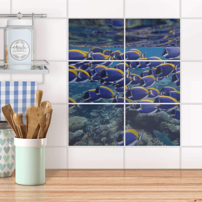 Fliesenfolie quer - Fish swarm