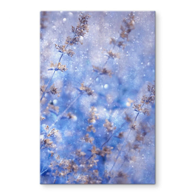 Glasbild Devos - Früher Winter