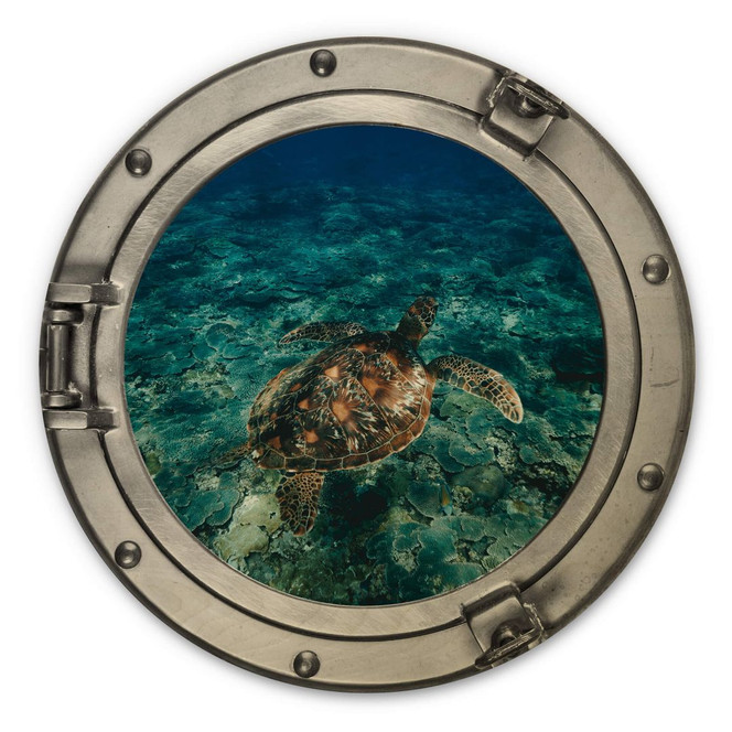 Holzbild 3D Optik - Schildkröte von oben - Rund