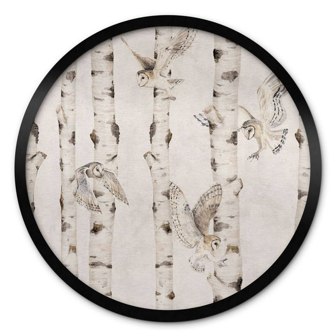 Poster Eulen im Birkenwald - Kikki Belle - Rund