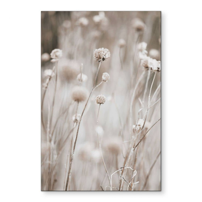 Wandbild Getrocknete Blüten in sanften Tönen - Annie - Alu-Dibond