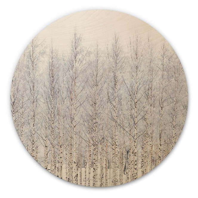 Holzbild Birkenwald im Winter - EMELIEmaria - Rund