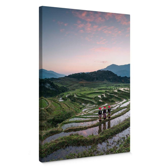 Leinwandbild Colombo - Reisterrassen in Vietnam