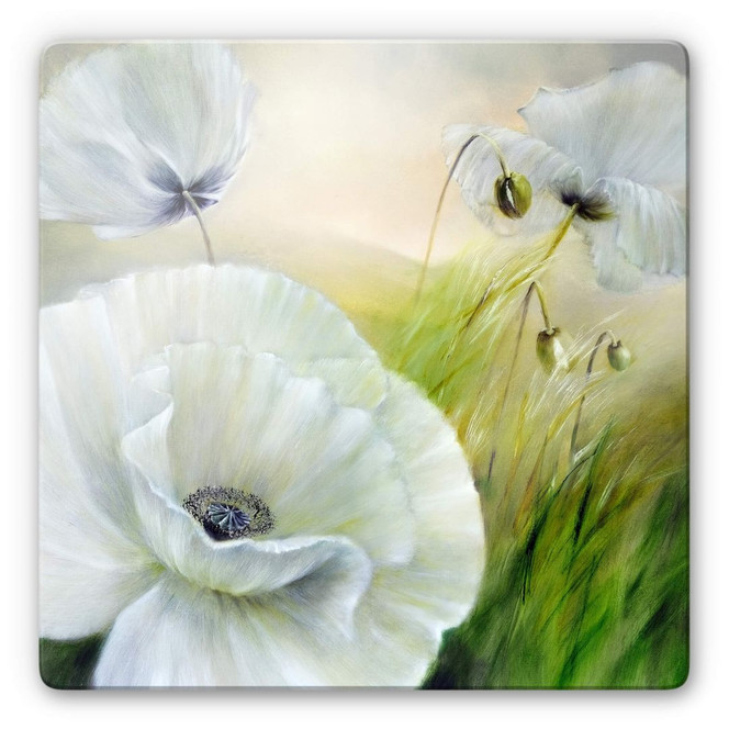 Glasbild Schmucker - Weisser Mohn