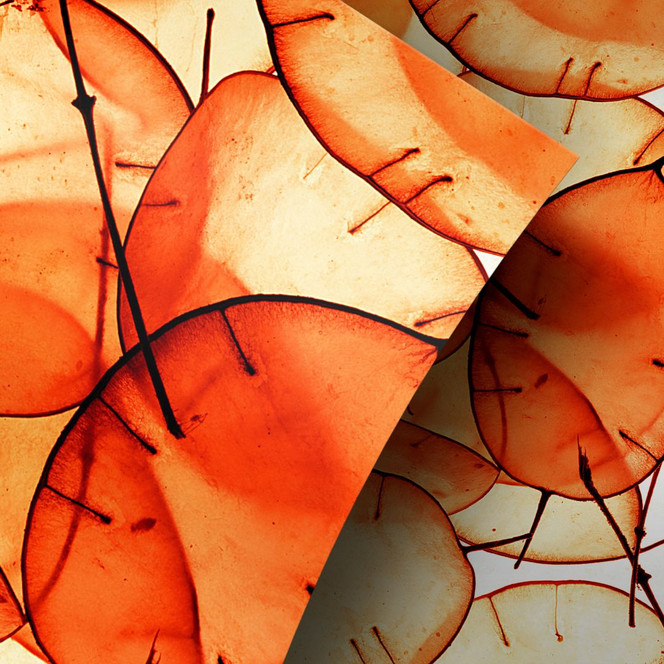 Möbelfolie, Dekofolie - abwischbar - Translucent Orange - Bild - 1