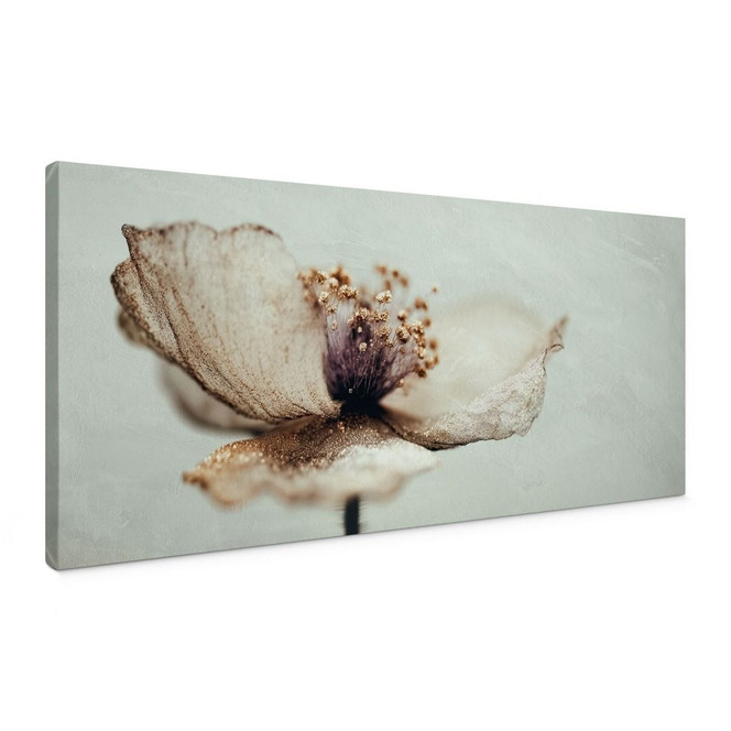 Leinwandbild Zarte Trockenblüte in Beige | Boho Blumenkunst - Treechild - Panorama