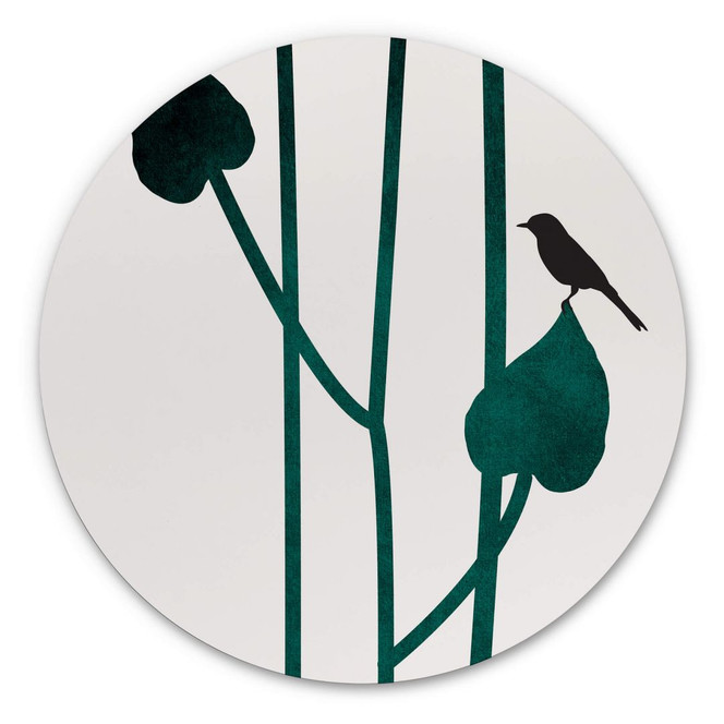 Alu-Dibond Kubistika - Natura - Rund