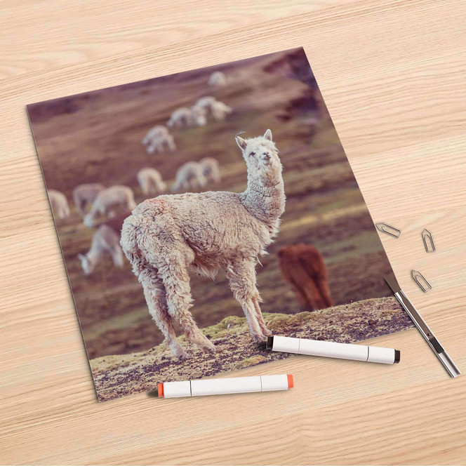 Folienbogen (30x30cm) - Pako- Bild 1