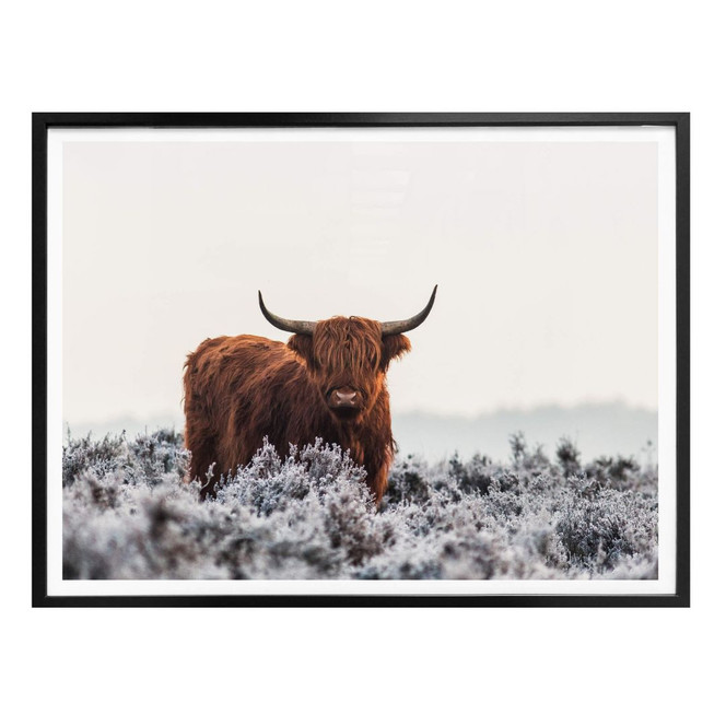 Poster van den Helm - Highlander