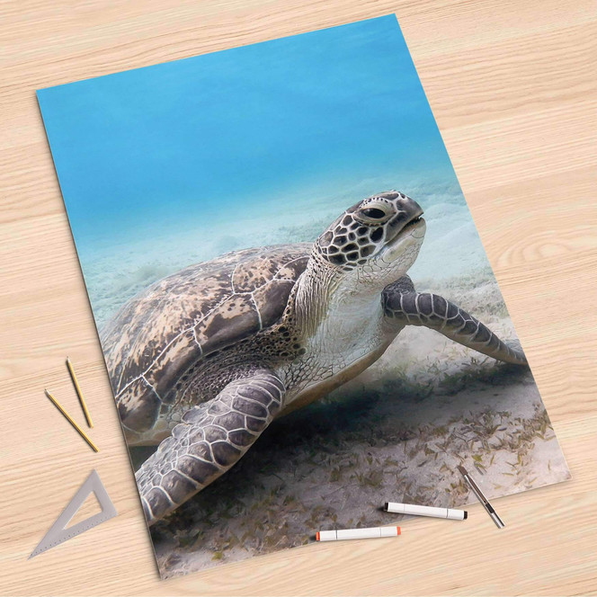 Folienbogen (80x120cm) - Green Sea Turtle- Bild 1