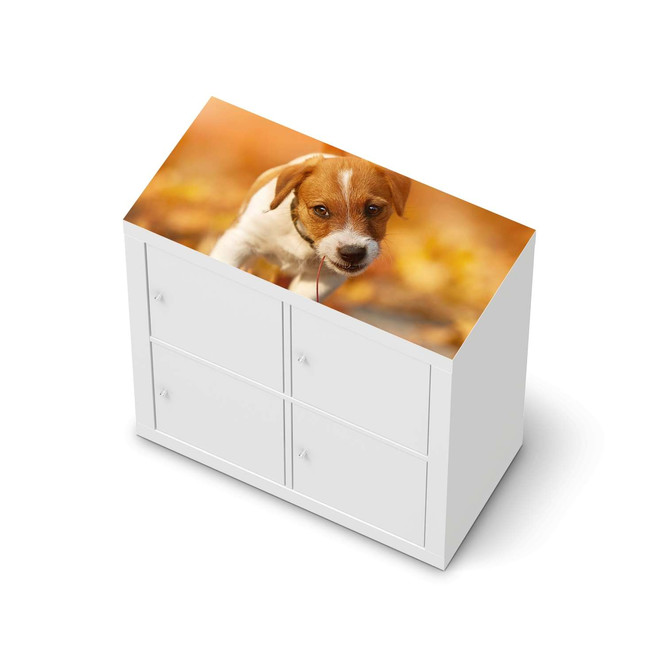 Möbelfolie IKEA Expedit Regal oben - Jack the Puppy- Bild 1