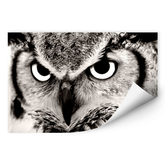 Wallprint Stolze Eule