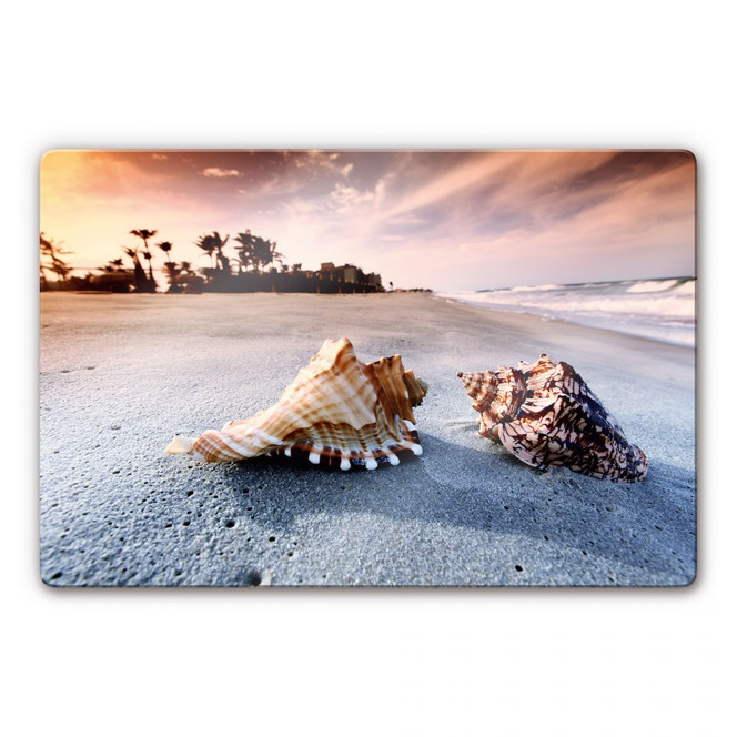 Glasbild Muschelparadies