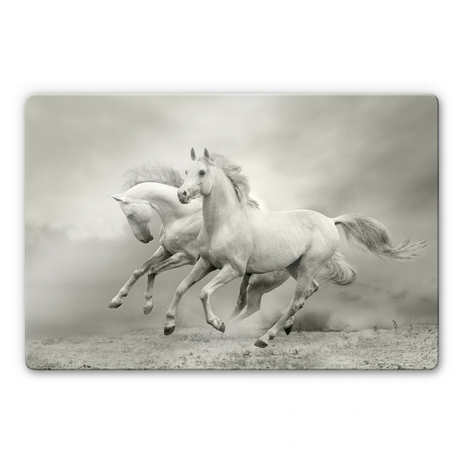 Glasbild Pferde im Galopp